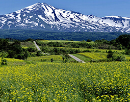 鳥海山