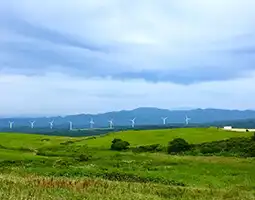仁賀保高原