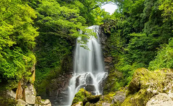 奈曽の白滝(なそのしらたき)